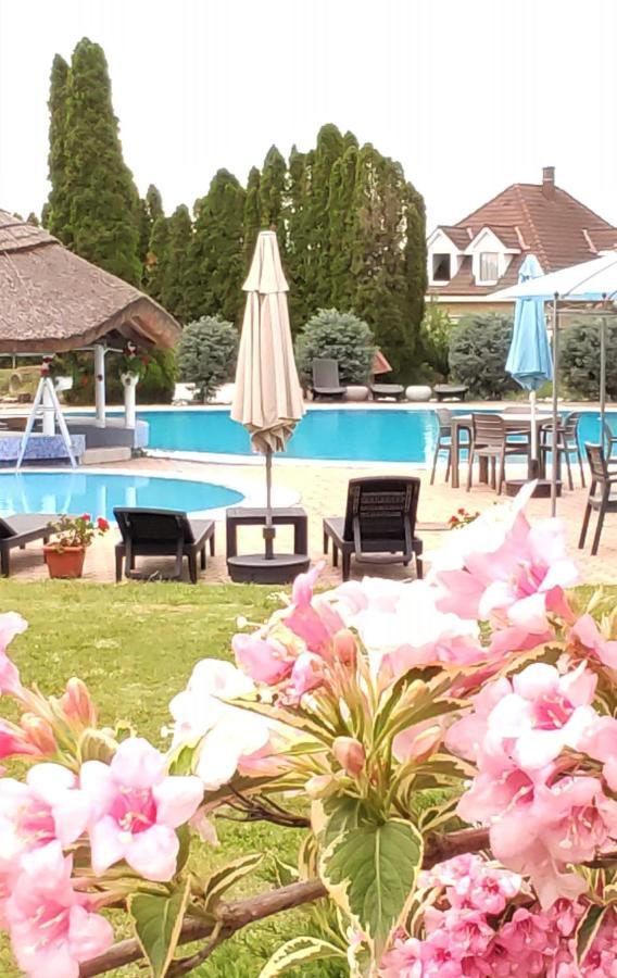 Helena Studio Apartman Siófok Exteriör bild